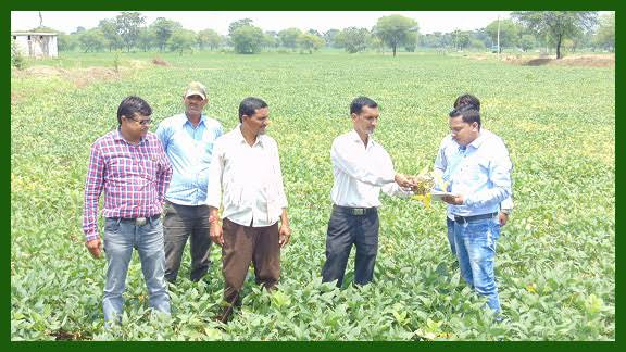 दुर्ग के पाटन क्षेत्र में किसानों को खेती की लागत में कमी लाने और आय दुगुनी करने के उद्देश्य से किसानों की ट्रेनिंग पाहंदा कृषि विज्ञान केंद्र में दी जा रही है, साथ ही  कृषि बीज और कृषि उपकरणों की भी जानकारी दी जा रही है