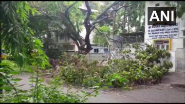 कई पर्वतीय क्षेत्रों में दो-तीन दिन भारी बारिश का अलर्ट, छत्तीसगढ़ में भी आसार 
