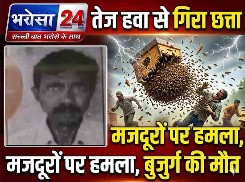 दुर्ग में मधुमक्खियों का हमला: छत्ता गिरने से भड़कीं मधुमक्खियां, बुजुर्ग मजदूर की मौत