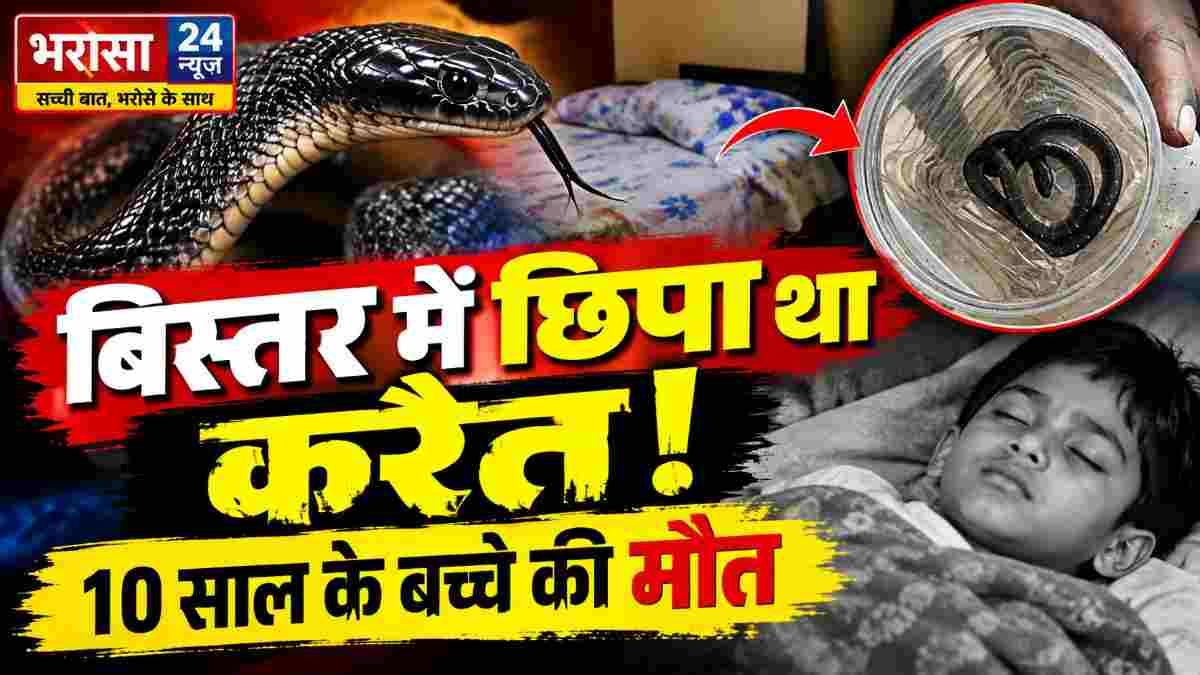 बिस्तर में छिपा था करैत सांप, 10 साल के बच्चे को डसा: बिलासपुर में इलाज के दौरान मौत; खाना खाने के बाद सोने गया था गौरव