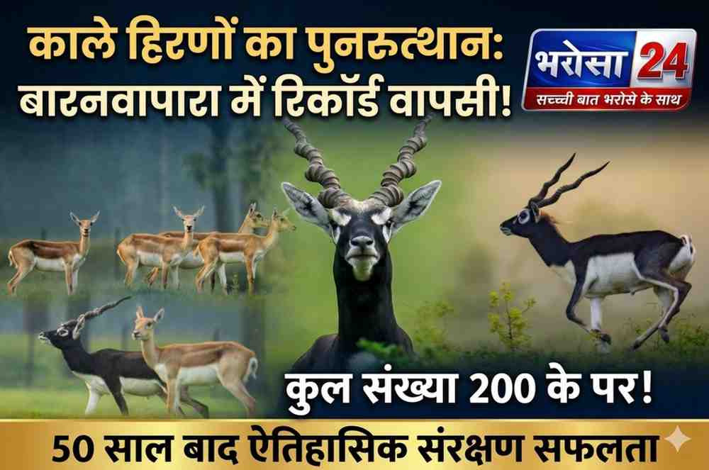 बारनवापारा में काले हिरणों की वापसी, विलुप्ति से 200 तक पहुंची संख्या PM मोदी ने ‘मन की बात’ में सराहा छत्तीसगढ़ का Blackbuck संरक्षण मॉडल