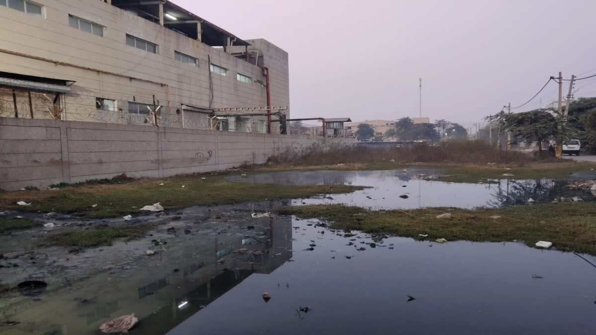 फरीदाबाद के गांव में कैंसर का कहर, जहरीली हवा-पानी से त्रस्त 200 परिवार गांव छोड़ने को मजबूर