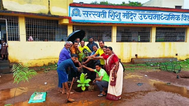 स्वच्छता सेवा समिति के द्वारा सराहनीय कार्य, वृहद रूप से किया गया पौधा रोपण, सुरक्षा को लेकर लगाए गए ट्री गार्ड

