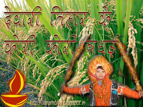 देवारी उत्सव मनाया गया कौही में