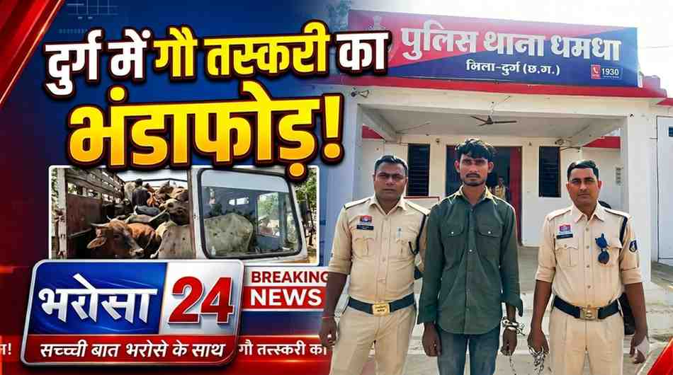 दुर्ग में मवेशी तस्करी का भंडाफोड़: पिकअप से 5 मवेशी बरामद, बेरला से नागपुर के कत्लखाने ले जाए जा रहे थे