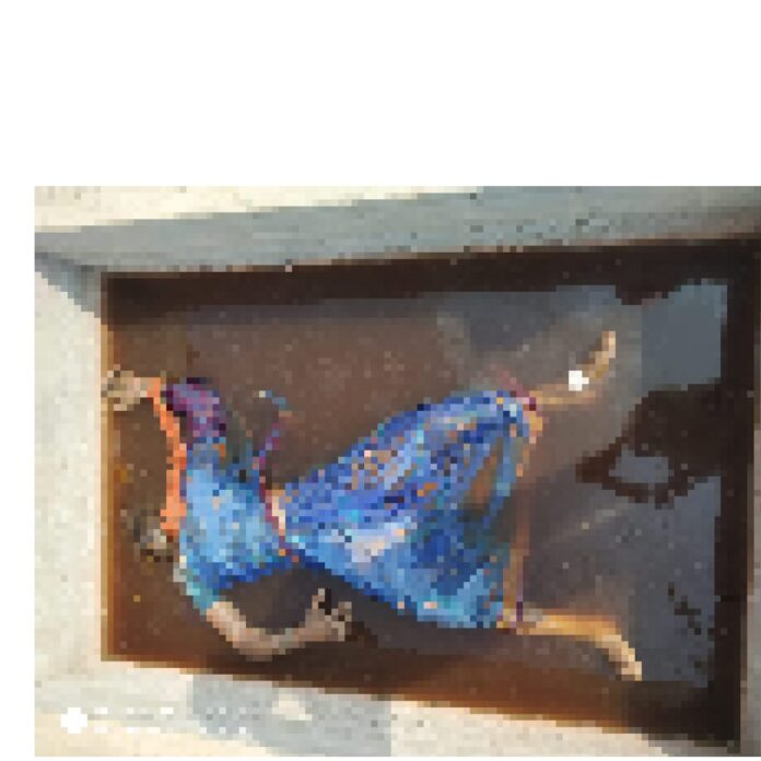 तिल्दा में महिला की गला घोंटकर हत्या, जांच में जुटी पुलिस 
